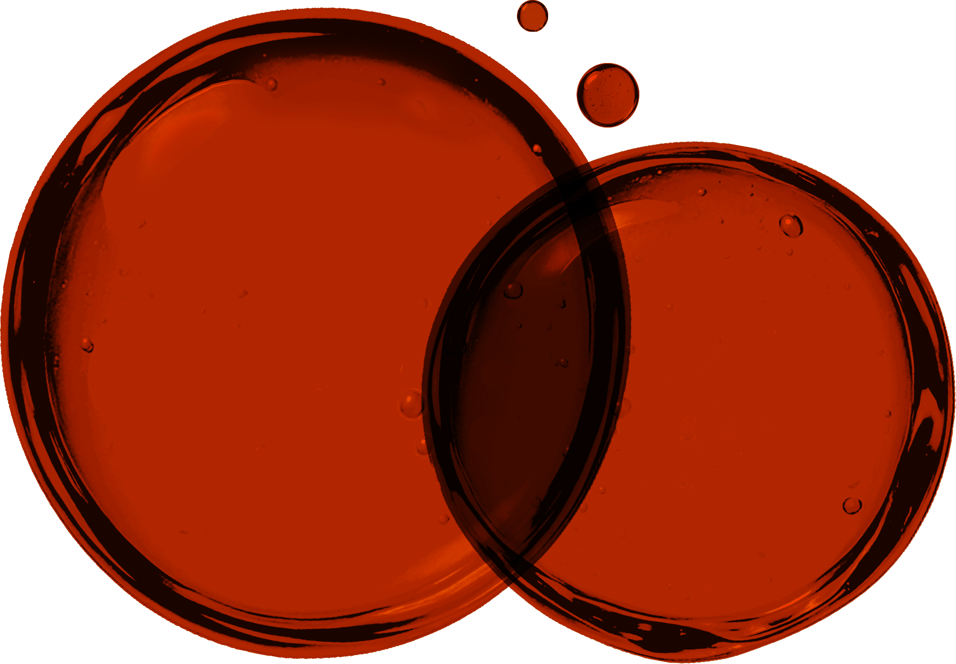 `Full Ingredient List` of Astaxanthin Skin Supplement